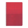 AKTAŞ KIRMIZI TARİHSİZ DEFTER (11X17 CM)
